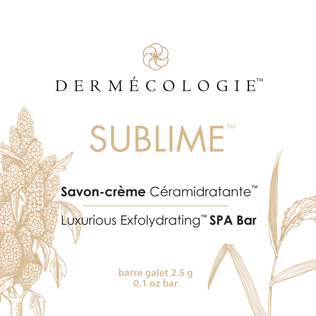 SUBLIME Exfoliating Body Care™ 2.5g in Eco-Pouch - Travel Size / Detox - pebble bar 2.5g 0.1oz